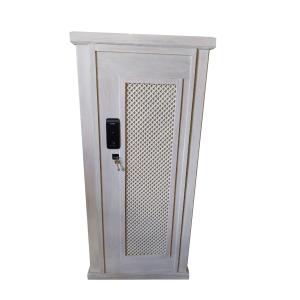 Gun safe with biometric lock "Vision"